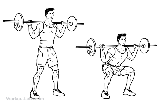 Temel 3 Bacak Gelişimi Sağlayan Hareket squat gymturk