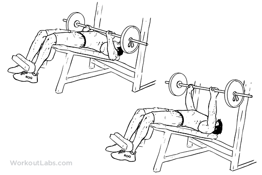 En etkili alt göğüs hareketleri Decline Barbell Bench Press gym turk gymturk