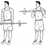 Kollarınız Genişleten  Biceps Hareketlerigymturk Barbell_Curle