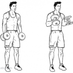 Kollarınız Genişleten  Biceps Hareketlerigymturk Hammer_Curls