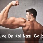 Arka ve Ön Kol Nasıl Geliştirilir gymturk