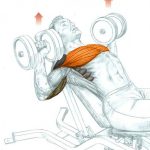 Incline Dumbbell Press