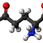 glutamin