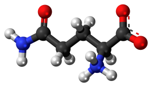 glutamin